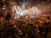 Michael-Porter-Photography_BIBAs-2025-(10-of-935)