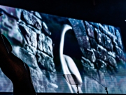 Michael-Porter-Photography_BIBAs-2025-(291-of-935)