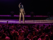 Michael-Porter-Photography_BIBAs-2025-(919-of-935)