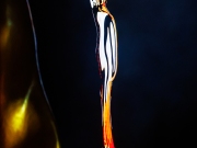 Michael-Porter-Photography_BIBAs-2026-Awards-17-of-388